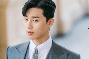 宋成绩韩国明星,韩国明星的璀璨星途与魅力人生