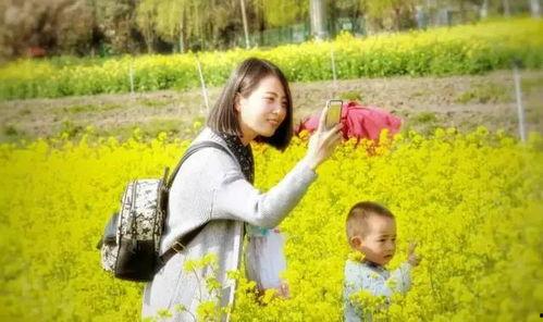 免费观看荡照,免费畅享荡秋千的欢乐时光