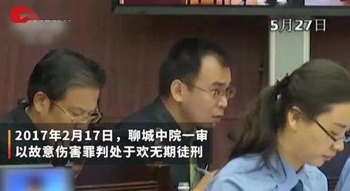 山东杀人辱母案.视频,悲剧背后的人性拷问与法律反思