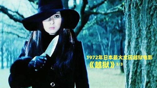 日本女囚电影,日本女囚电影的幽暗世界