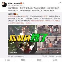 中国真实爆料视频大全,视频大全背后的社会现象与思考