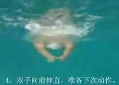 学蛙泳的步骤视频,跟随步骤视频轻松掌握技巧