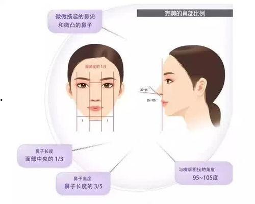 鼻子整形爆料视频大全,热门爆料视频大盘点