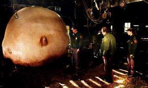 在线播放撕裂人,在线播放背后的故事与启示