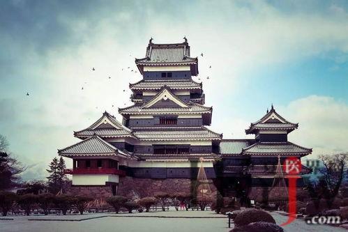 3av日本,揭秘日本潮流文化新风向