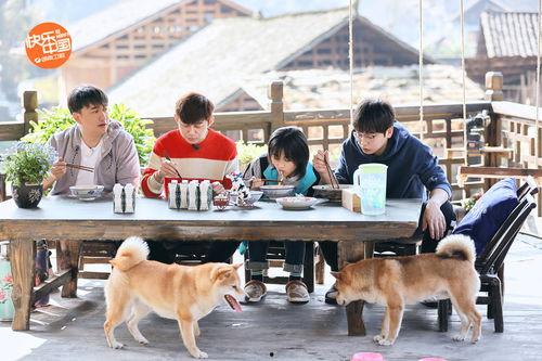 向往的生活高清免费观看,高清免费，尽享田园生活魅力